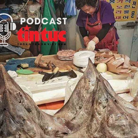 Góc lạ thế giới: Món đặc sản siêu nặng mùi hút hồn thực khách Hàn Quốc