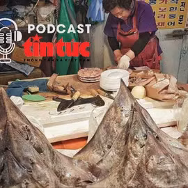 Góc lạ thế giới: Món đặc sản siêu nặng mùi hút hồn thực khách Hàn Quốc