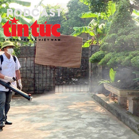 Bác sĩ ơi: Đặc điểm muỗi truyền bệnh sốt xuất huyết