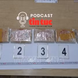 Tin nóng trong nước nghe nhanh sáng 1/7