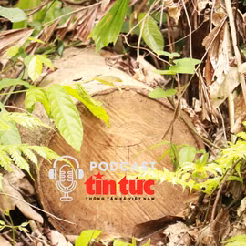 Tin nóng trong nước nghe nhanh sáng 25/8