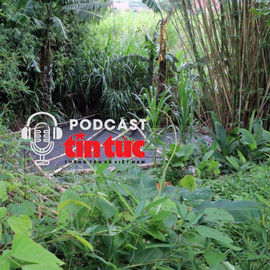Tin nóng trong nước nghe nhanh sáng 6/6