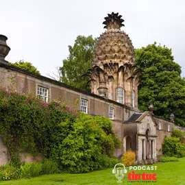 Kỳ lạ thời quả dứa biểu tượng cho sự giàu sang tột bậc ở Anh