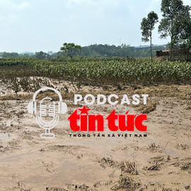 'Giải mã cùng luật sư': Ngăn chặn các chiêu trò mới về đấu giá đất 