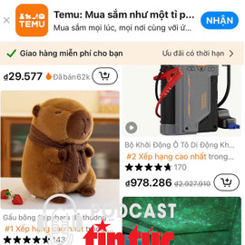 Trước sự ‘bùng nổ’ của Temu, chuyên gia đề xuất xây dựng hàng rào thuế quan thương mại