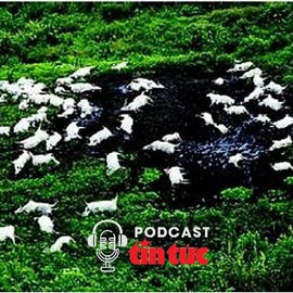 Hồ sơ mật: Thảm kịch lạ lùng nhất thế kỷ, khiến 1.700 người chết sau một đêm - Kỳ 1