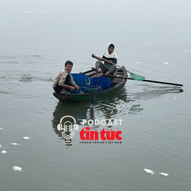 Tin nóng trong nước nghe nhanh sáng 15/12