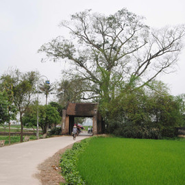 Cổng làng