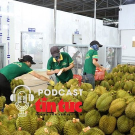 Xuất khẩu rau quả phá kỷ lục, sầu riêng tăng hơn 700%