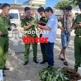 Tin nóng trong nước nghe nhanh sáng 20/12