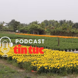 Tin nóng trong nước nghe nhanh sáng 30/11