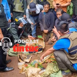 Tin nóng trong nước nghe nhanh sáng 1/12