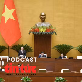 Tin nóng trong nước nghe nhanh sáng 20/11