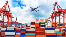 Xuất nhập khẩu tăng trưởng ấn tượng, củng cố niềm tin vào kinh tế Việt Nam