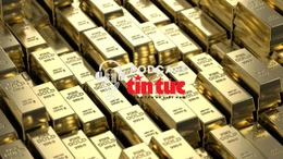 Tin nóng thế giới sáng 8/12/2025