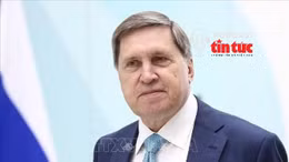 Tin nóng thế giới sáng 25/11/2025