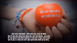 Thời sự 24h qua ảnh chiều 14/6