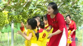 Hưng Yên phát triển mô hình du lịch canh nông