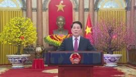 Lời chúc Tết Bính Ngọ 2026 của Chủ tịch nước Lương Cường