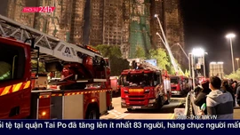 Thời sự 24h qua ảnh sáng 28/11