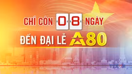 Đếm ngược A80 ngày 25/8/2025 