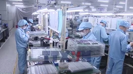 Đòn bẩy thể chế giúp doanh nghiệp vươn xa