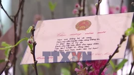 Thiệp xuân - lời gửi niềm tin