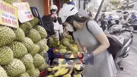 Sầu riêng rẻ chưa từng có tại TP Hồ Chí Minh