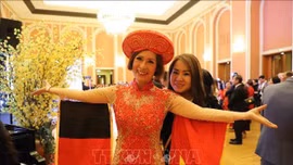 Tết cộng đồng ấm áp của người Việt tại Đức