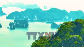 Phát triển du lịch xanh trên vùng di sản