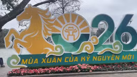 Những không gian tràn ngập hình ảnh ngựa trong năm mới