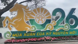 Những không gian tràn ngập hình ảnh ngựa trong năm mới