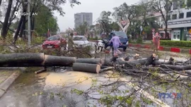 Cập nhật thiệt hại do cơn bão số 10