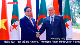 Thời sự 24h qua ảnh sáng 20/11