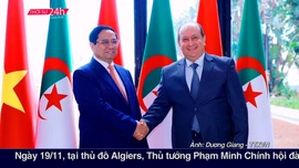 Thời sự 24h qua ảnh sáng 20/11