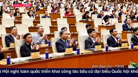 Thời sự 24h qua ảnh sáng 15/11