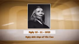 Khoảnh khắc & sự kiện ngày 15/11