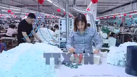 Nỗ lực duy trì sản xuất và ổn định việc làm