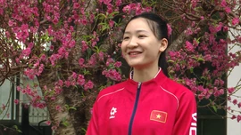 Đón xuân Bính Ngọ với 'cô gái vàng karate' Hoàng Thị Mỹ Tâm