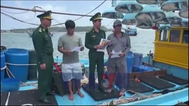 Ngư dân gác việc khơi xa, hướng về lá phiếu