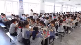 Các nước quản lý bữa ăn trường học ra sao?