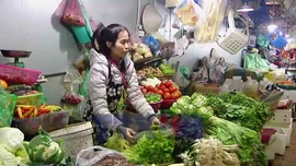 Giá cả thực phẩm, rau xanh bình ổn sau Tết