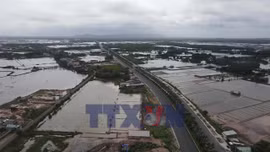 Đẩy nhanh tiến độ dự án đường ven biển Vũng Tàu - Bình Thuận