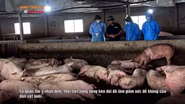 Thời sự 24h qua ảnh chiều 6/8