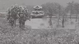 Không khí lạnh kéo dài gây tuyết kỷ lục tại Nhật Bản