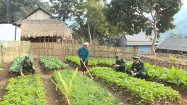 Mô hình 'Bản sáng vùng biên' góp phần giảm nghèo tại Thanh Hóa