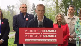 Cách thức các nước đối phó với chính sách thuế quan của Mỹ