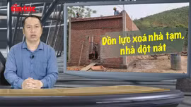 Phóng sự Tin tức TV: Dồn lực xoá nhà tạm, nhà dột nát 