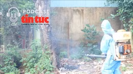 Bác sĩ ơi: Cảnh giác dịch sốt xuất huyết ngay từ đầu năm