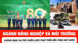 Bản tin tối 12/11 của báo Tin tức và Dân tộc có những bản tin chính sau đây.